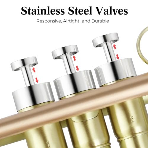 ROWELL Bb Trumpet Brushed Finish Standard Brass Trumpet Set Professional B Flat Trumpets with Deluxe Hard Case